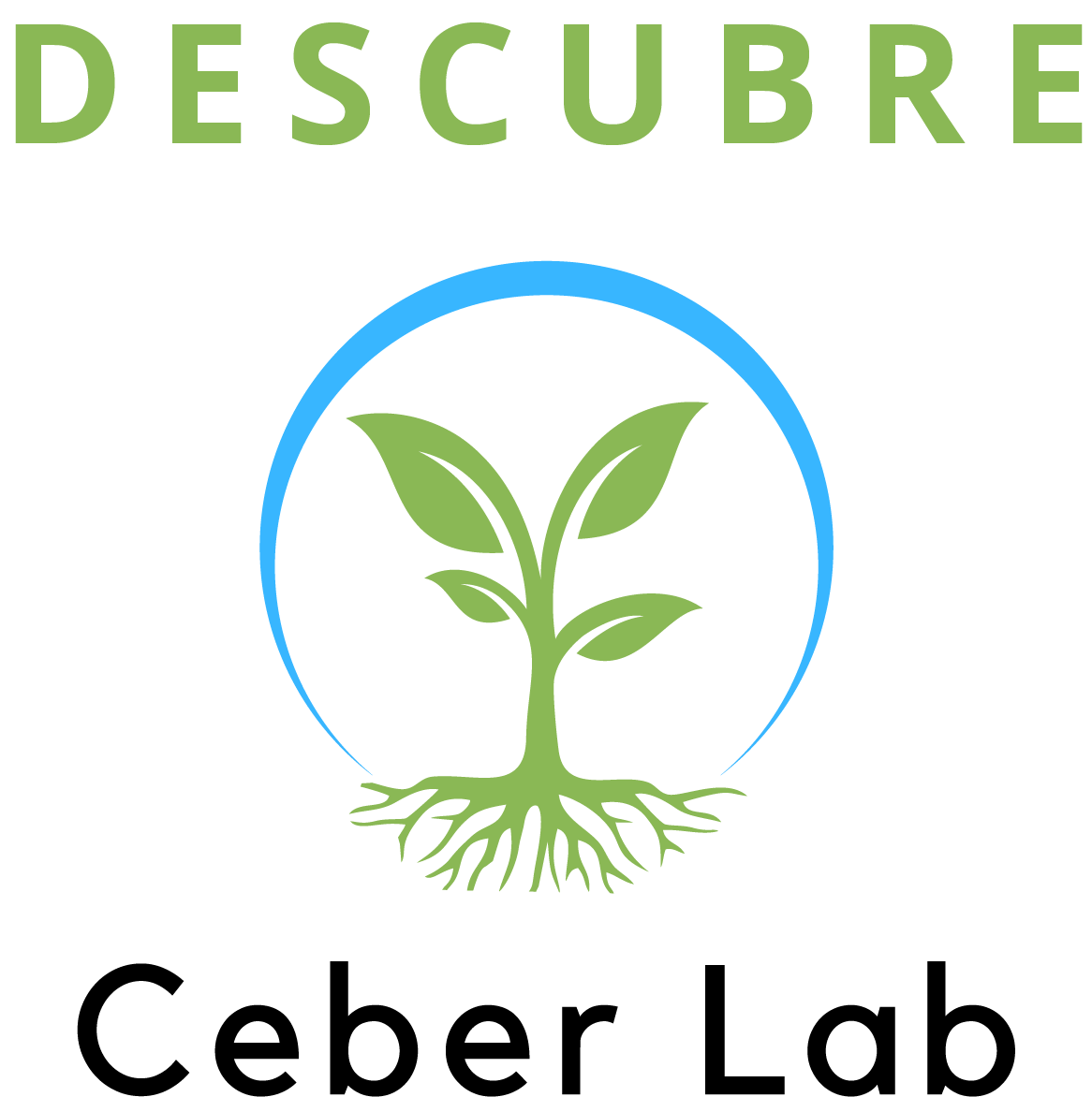Descubre Ceber Lab