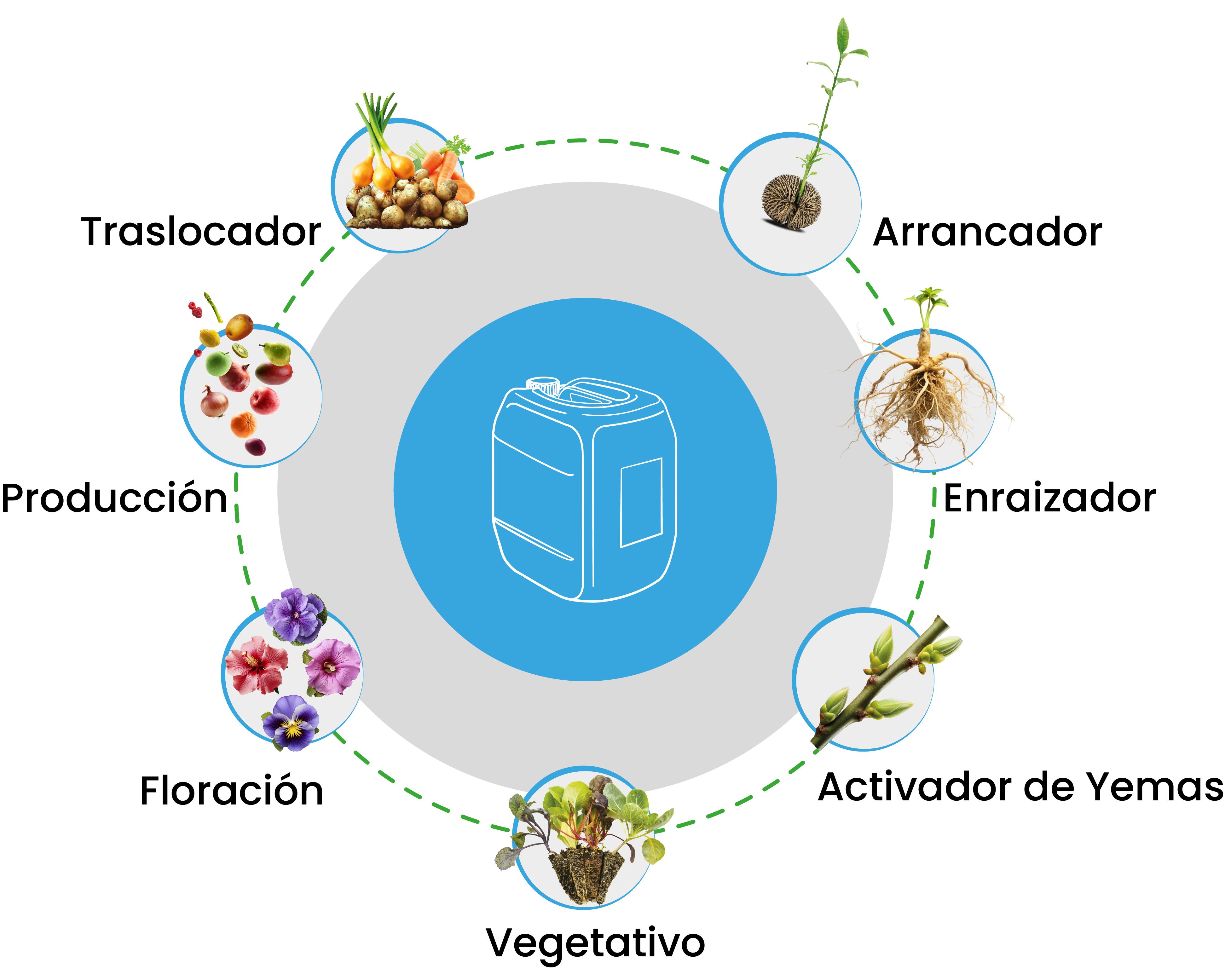 Diagrama de productos NutriSulk