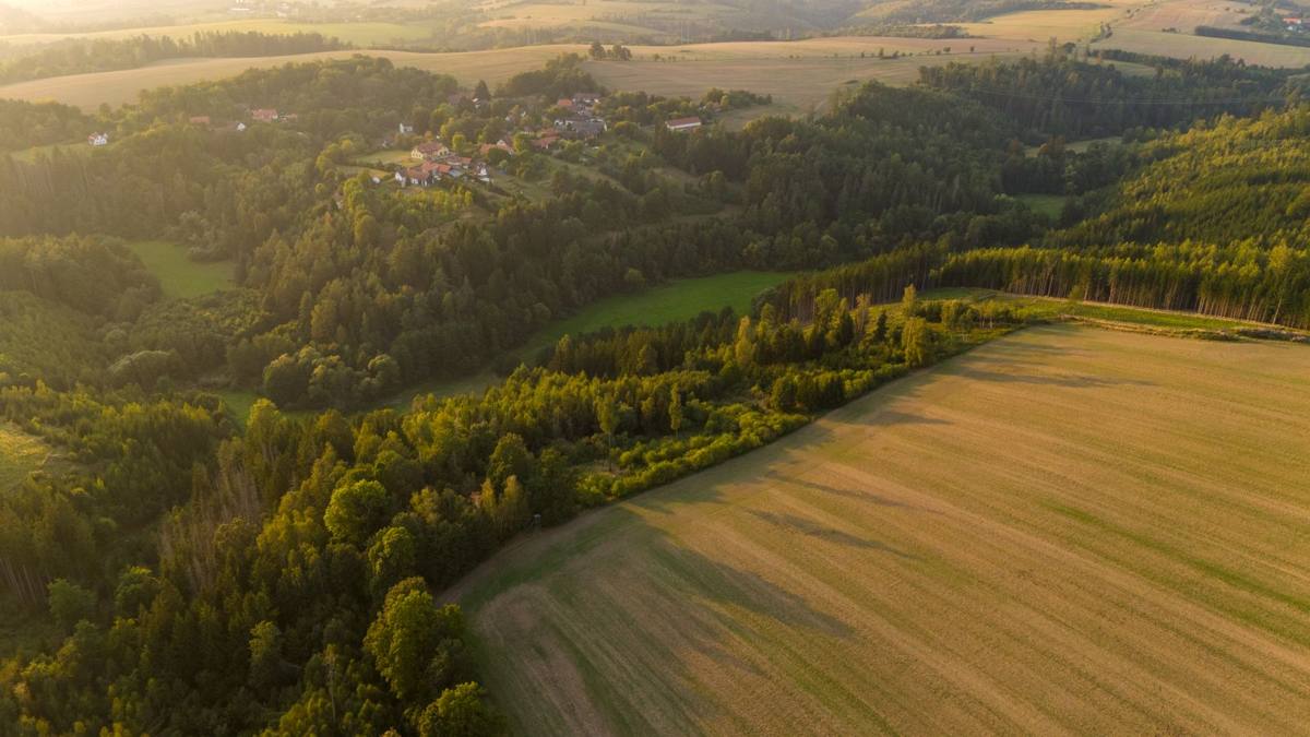 Aerial view of open fields and wooded acreage (stock photo)