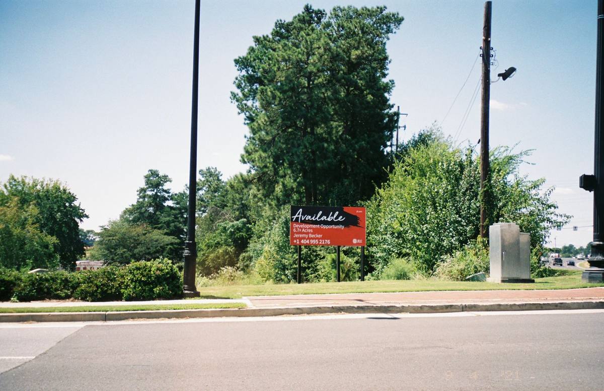 Overgrown vacant lot with trees beside a road (stock photo)