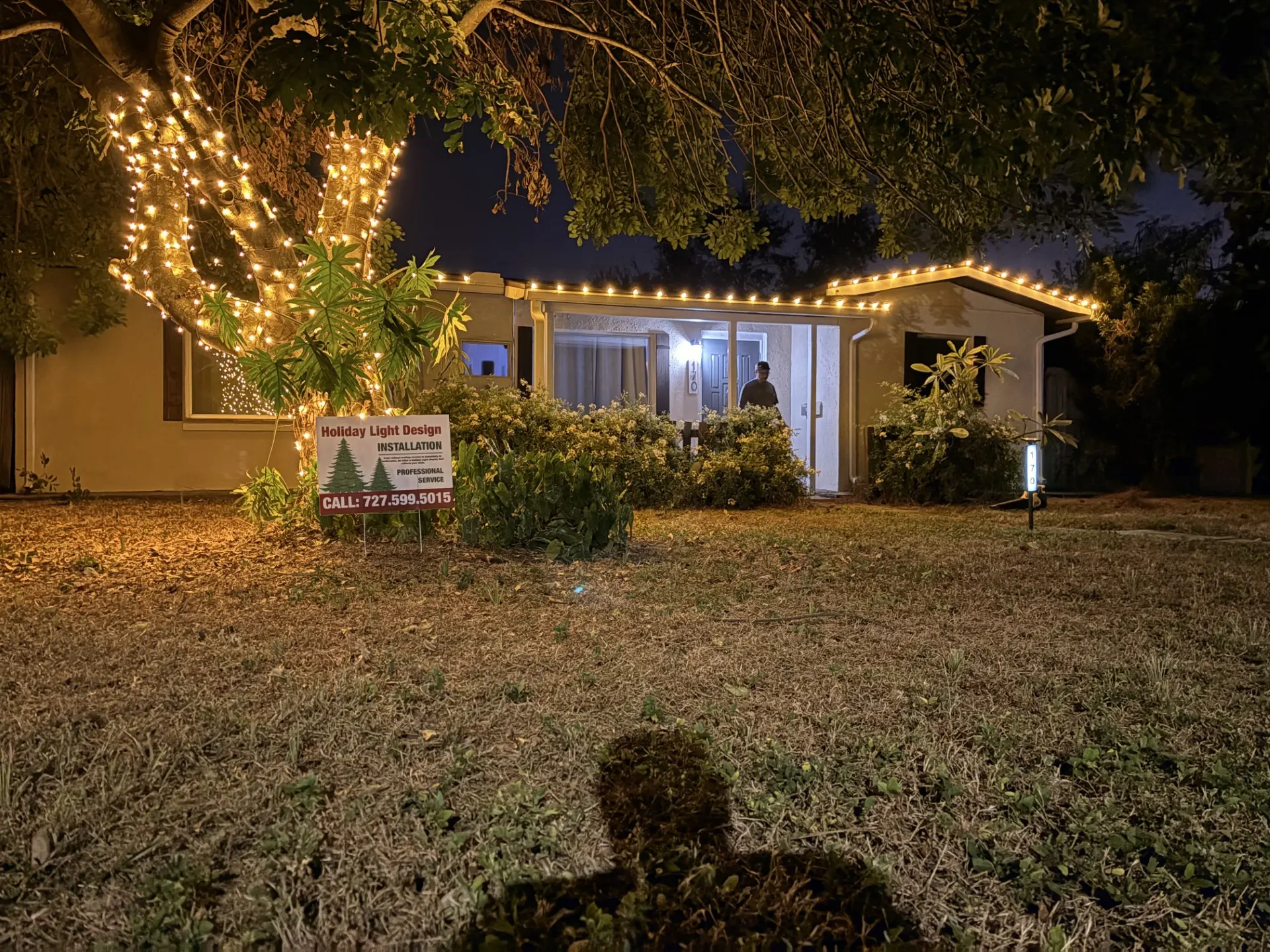 Residential holiday lighting on a roofline and palm trees