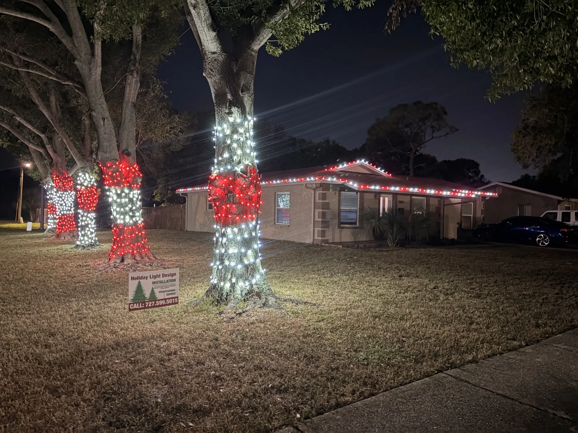 Holiday lighting technicians professionally wrapping outdoor trees