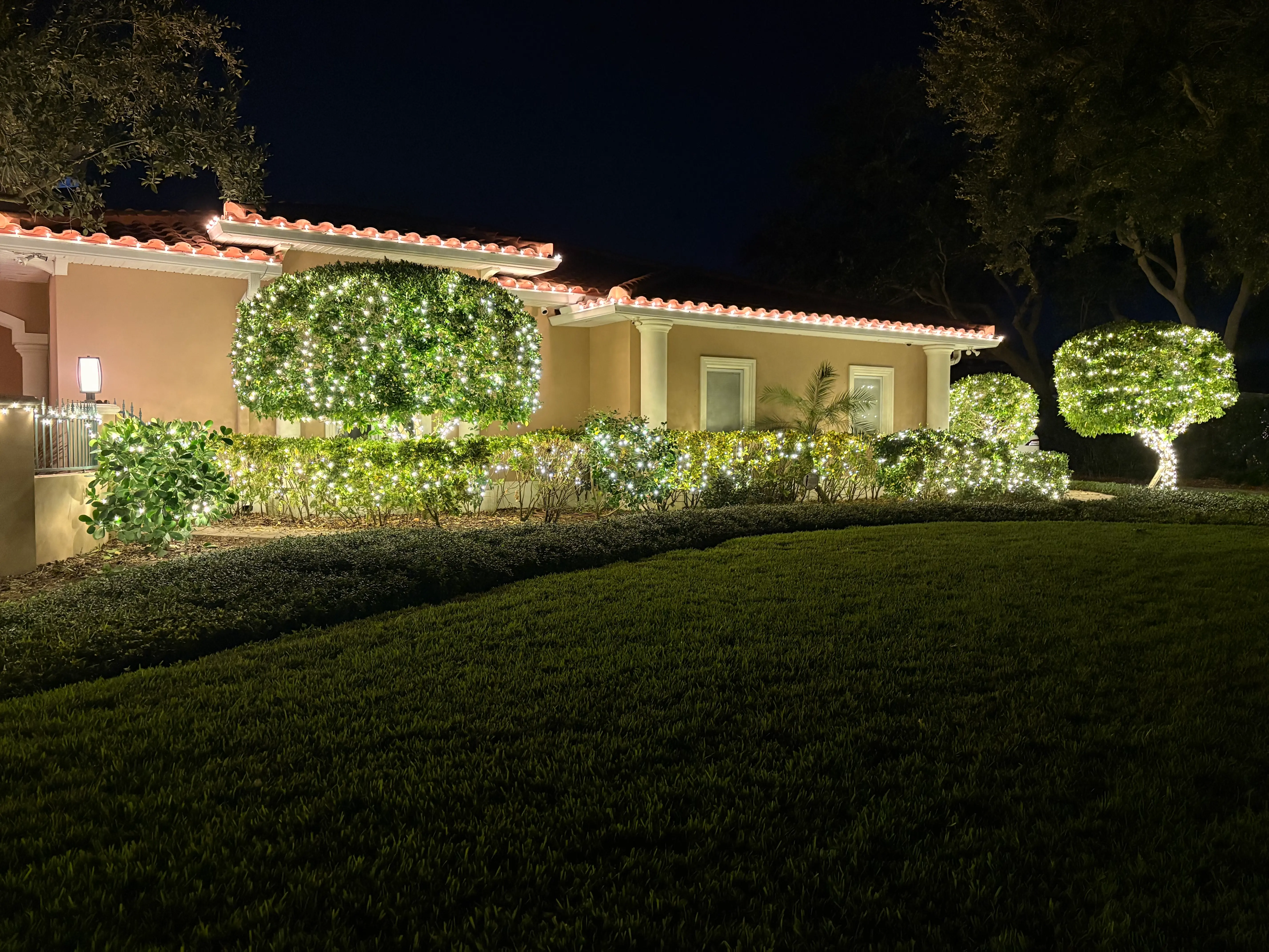 Holiday lighting professionals working on illuminated tree wrap lights