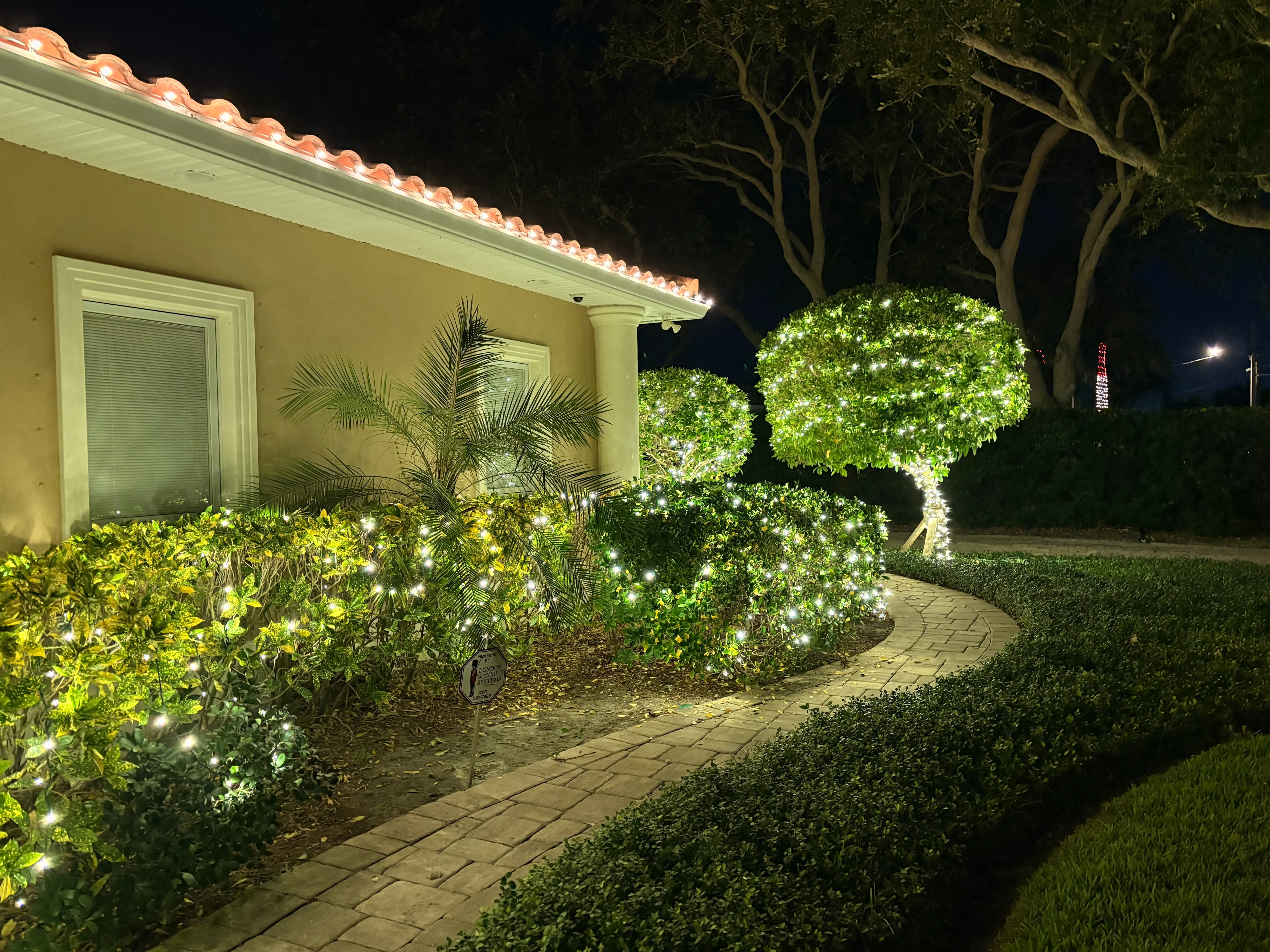 Holiday lighting crew working on illuminated tree wraps