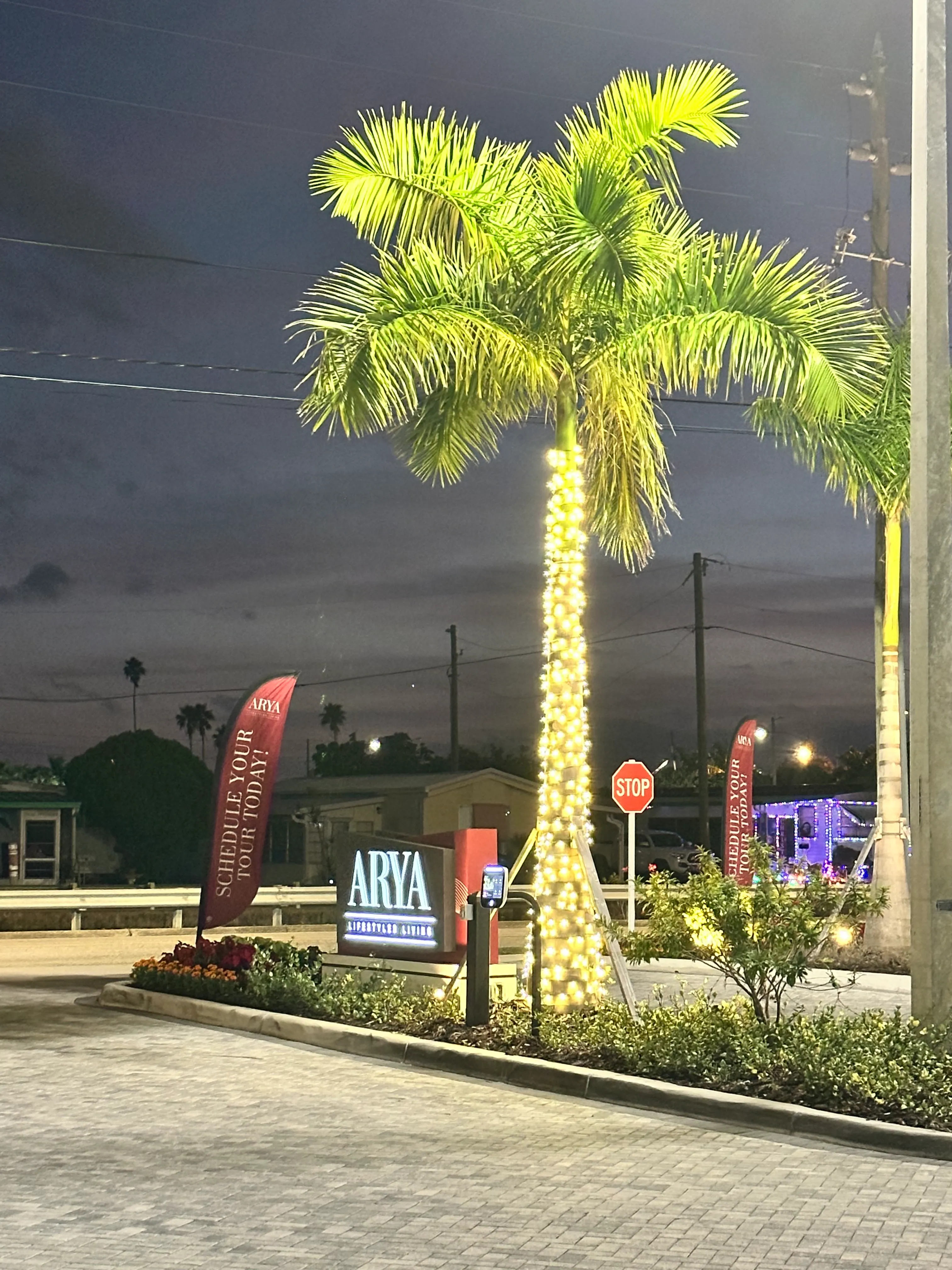 Commercial building with professional holiday lights