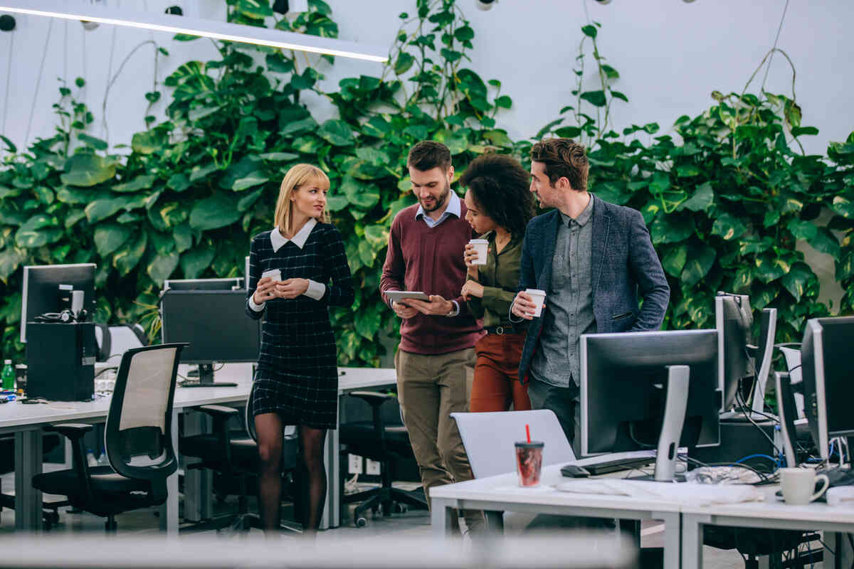 biophilic-design-benefits-healthcare-environment-calming-sensory-patient-comfort