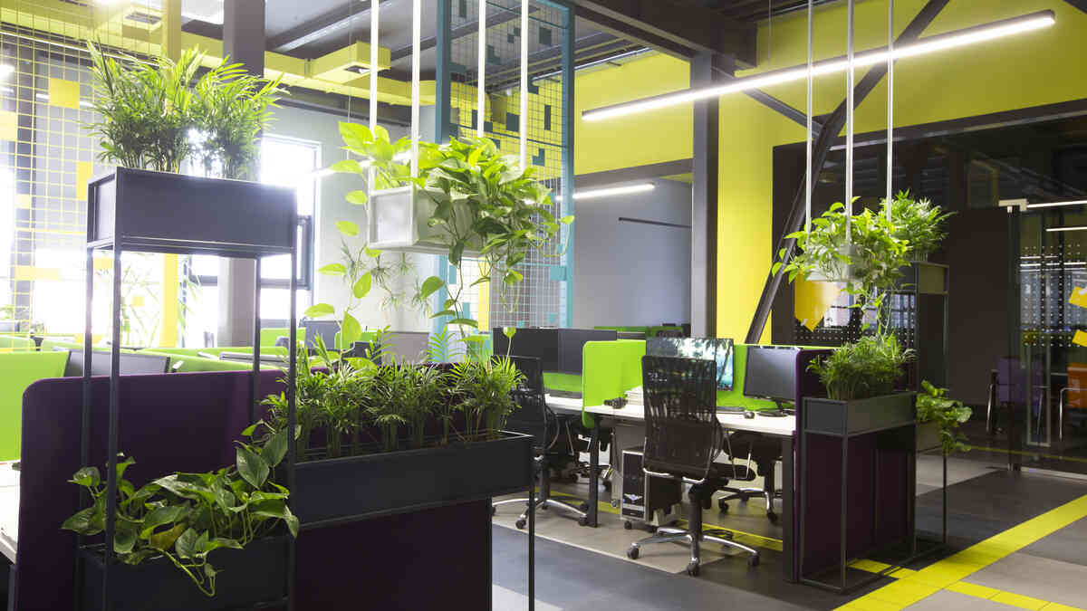 biophilic-office-design-executive-suite-natural-lighting-stress-reduction