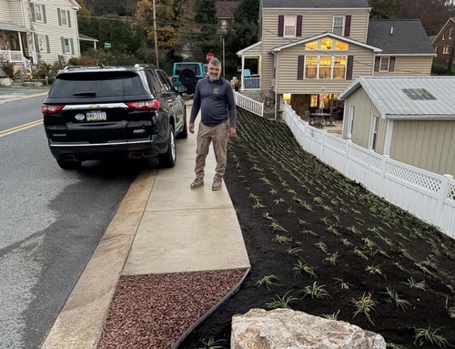 Landscape Edging Installation in York