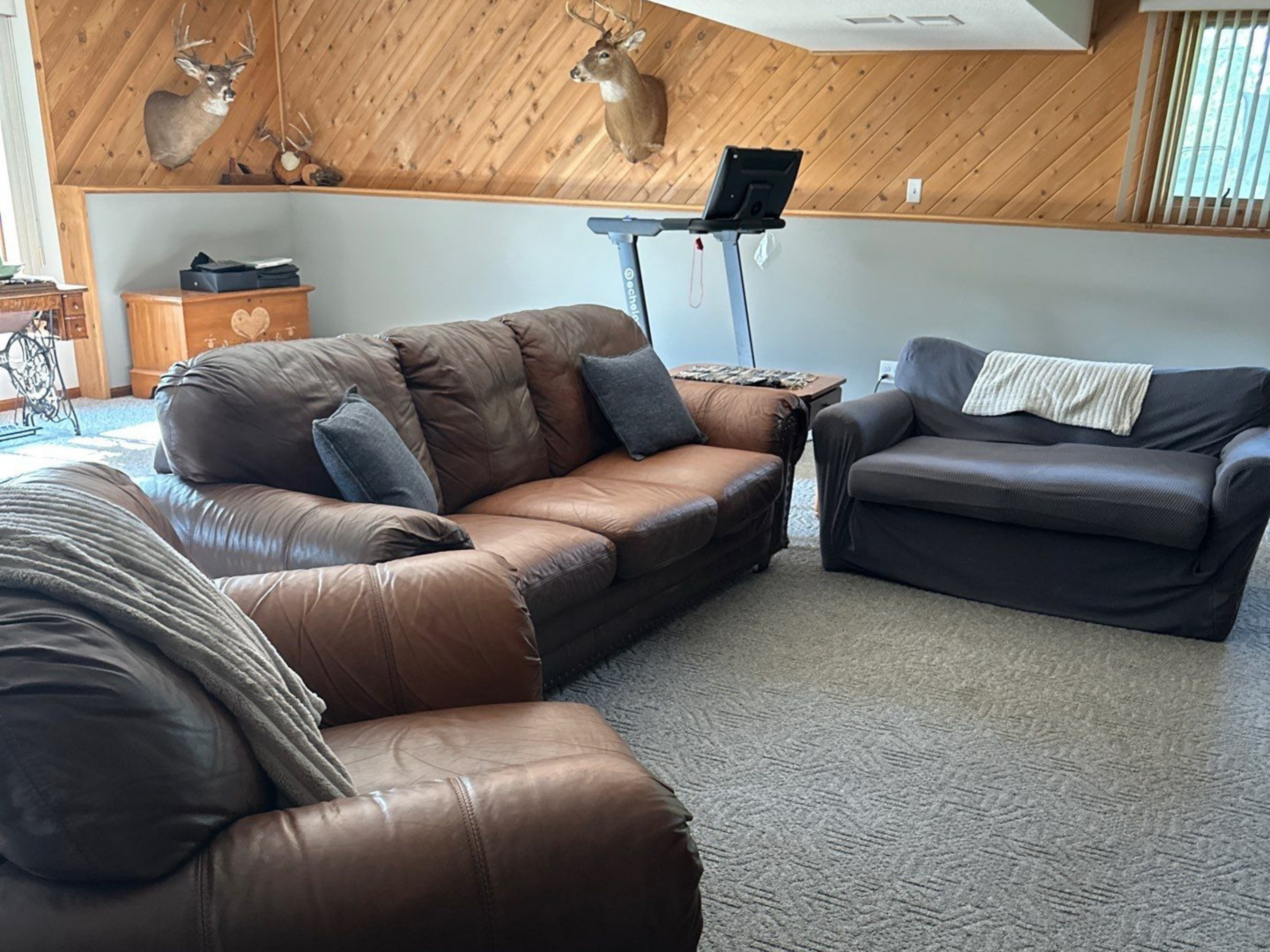 Renovated living room with bright natural light and modern finishes