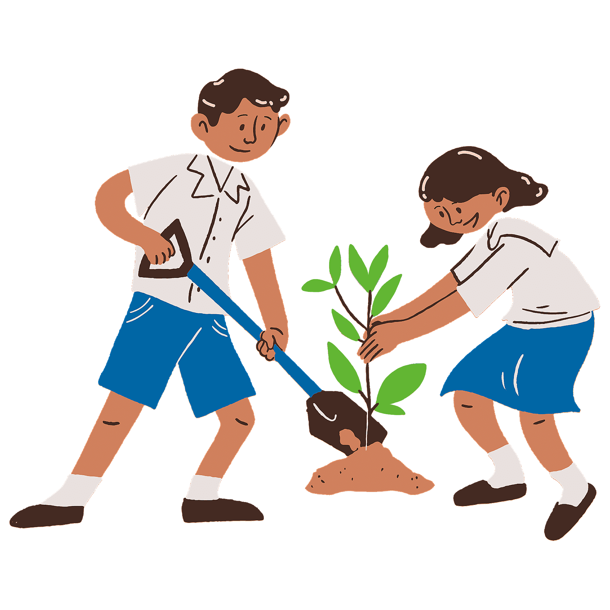 Two people planting a tree