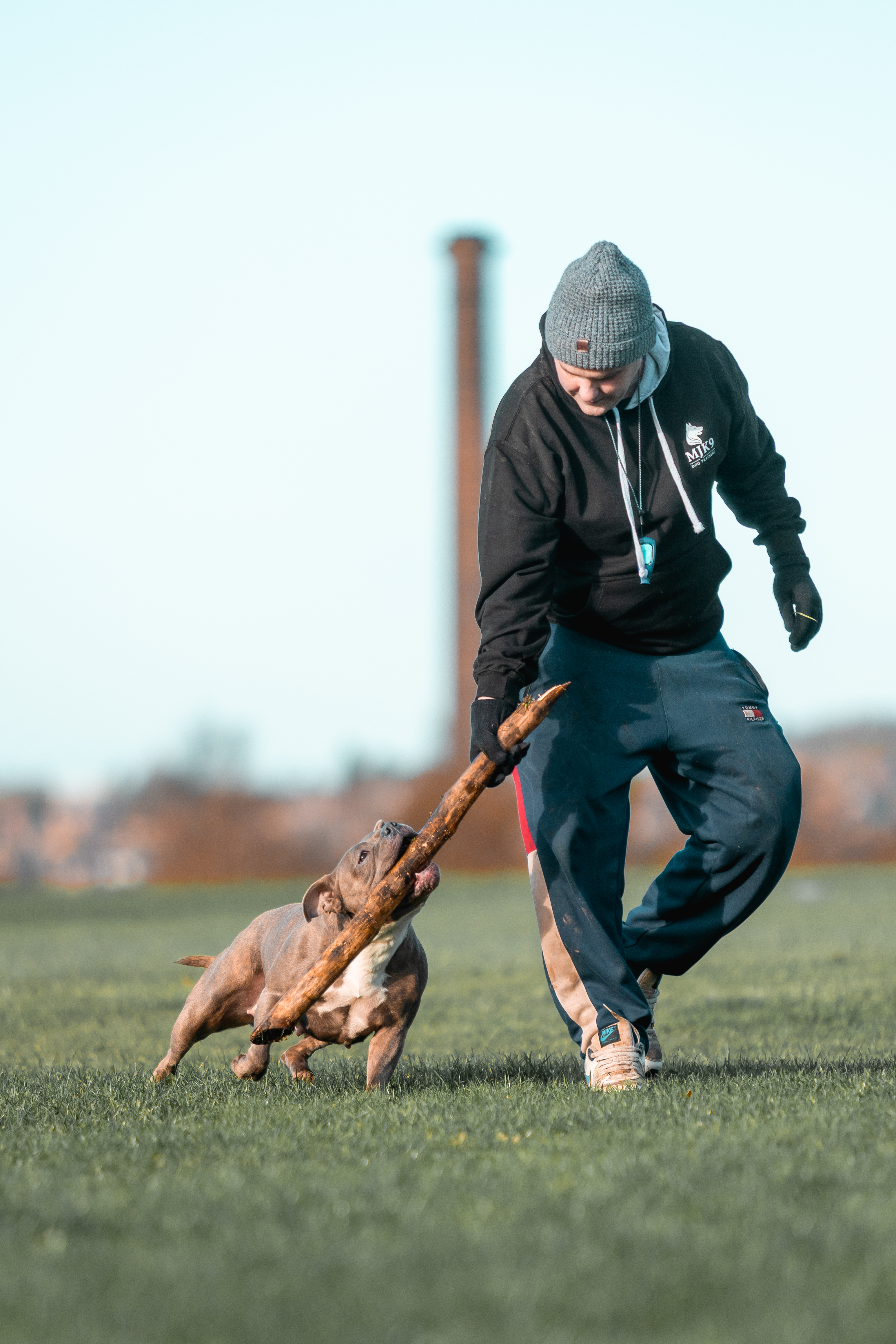 NeMo method dog training
