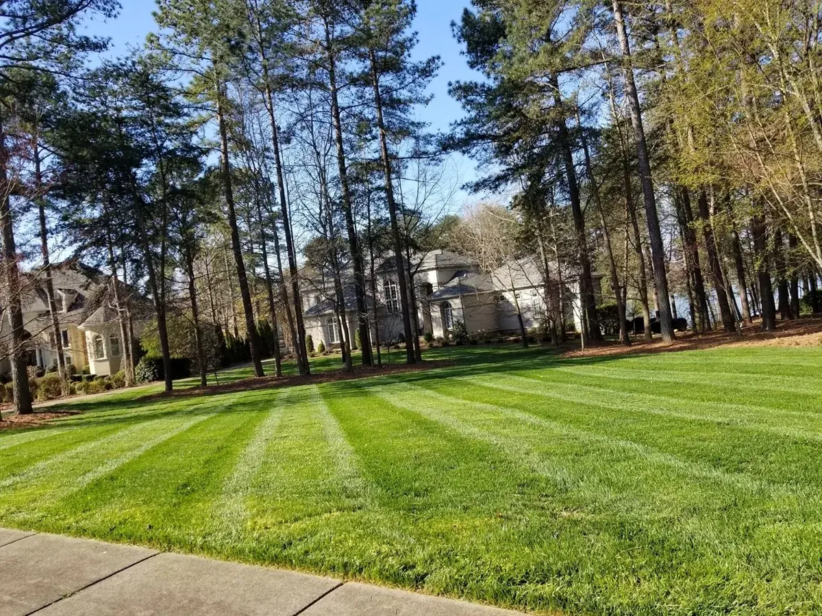 Freshly cut striped lawn on a large wooded property maintained by LAP