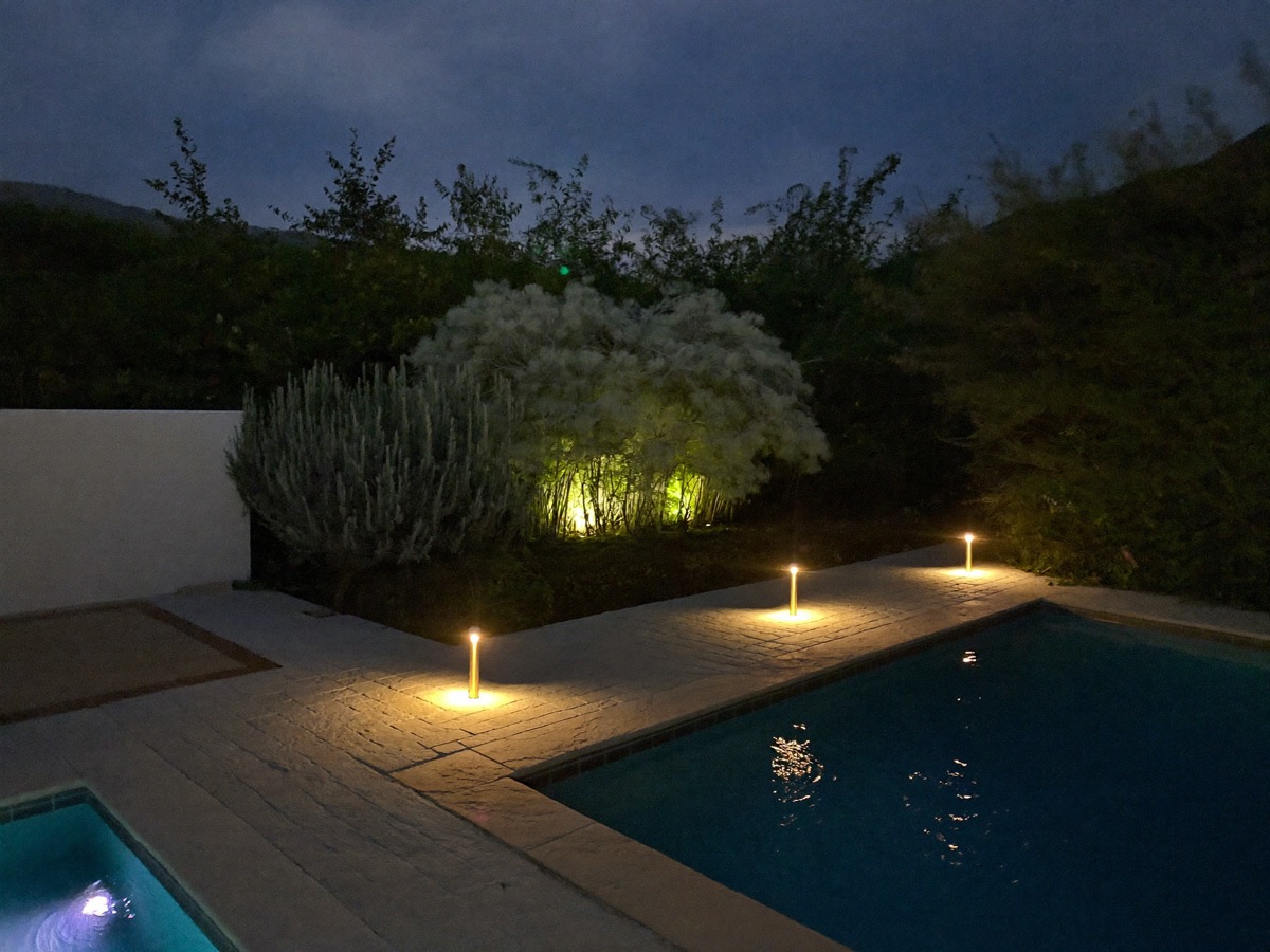 Low-voltage path lights along a pool deck at dusk with an uplit tree