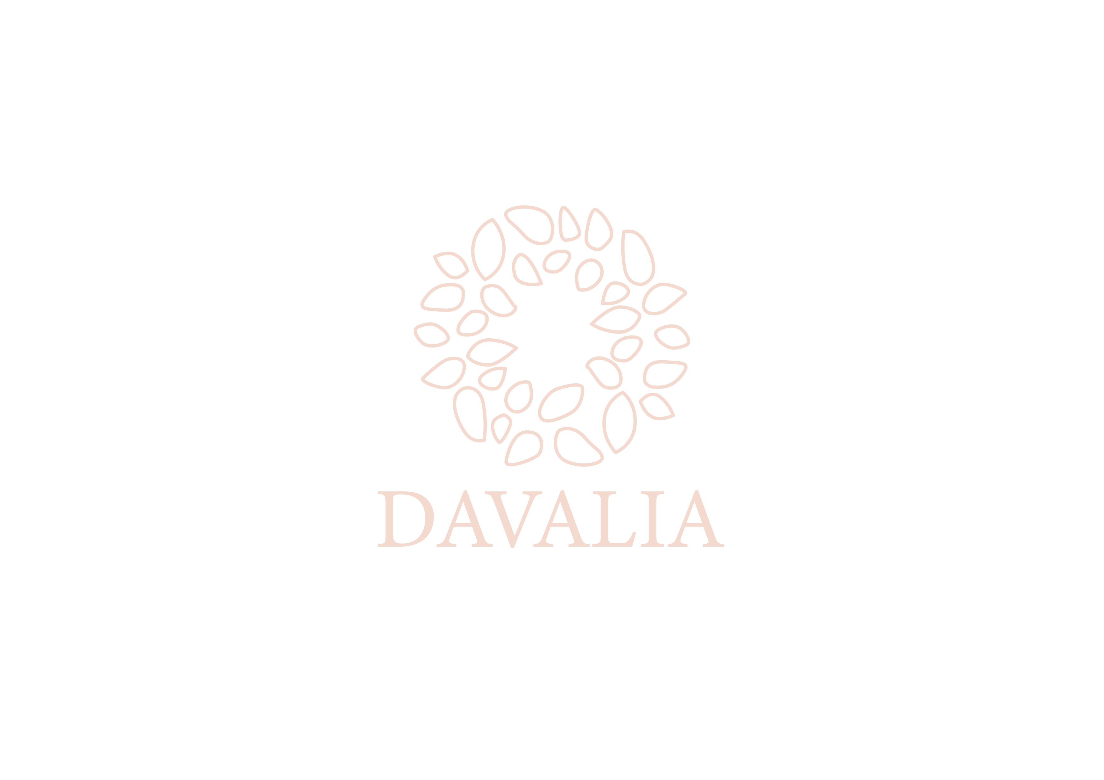 Davalia Travel