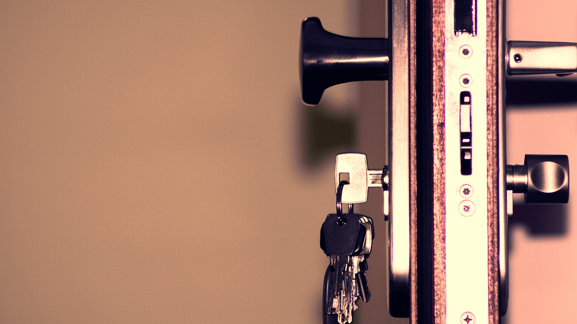 Tampa Palms Vehicle Lockout