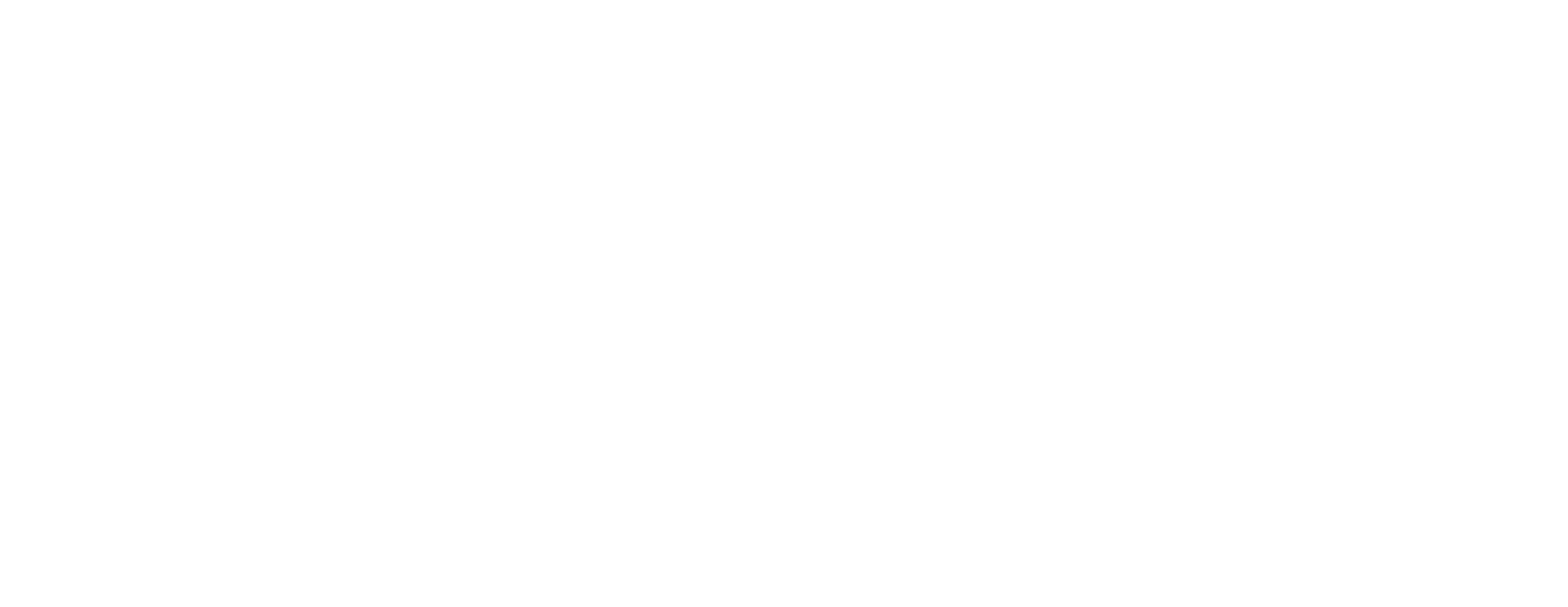 Dunn-Wright Business Solutions Logo