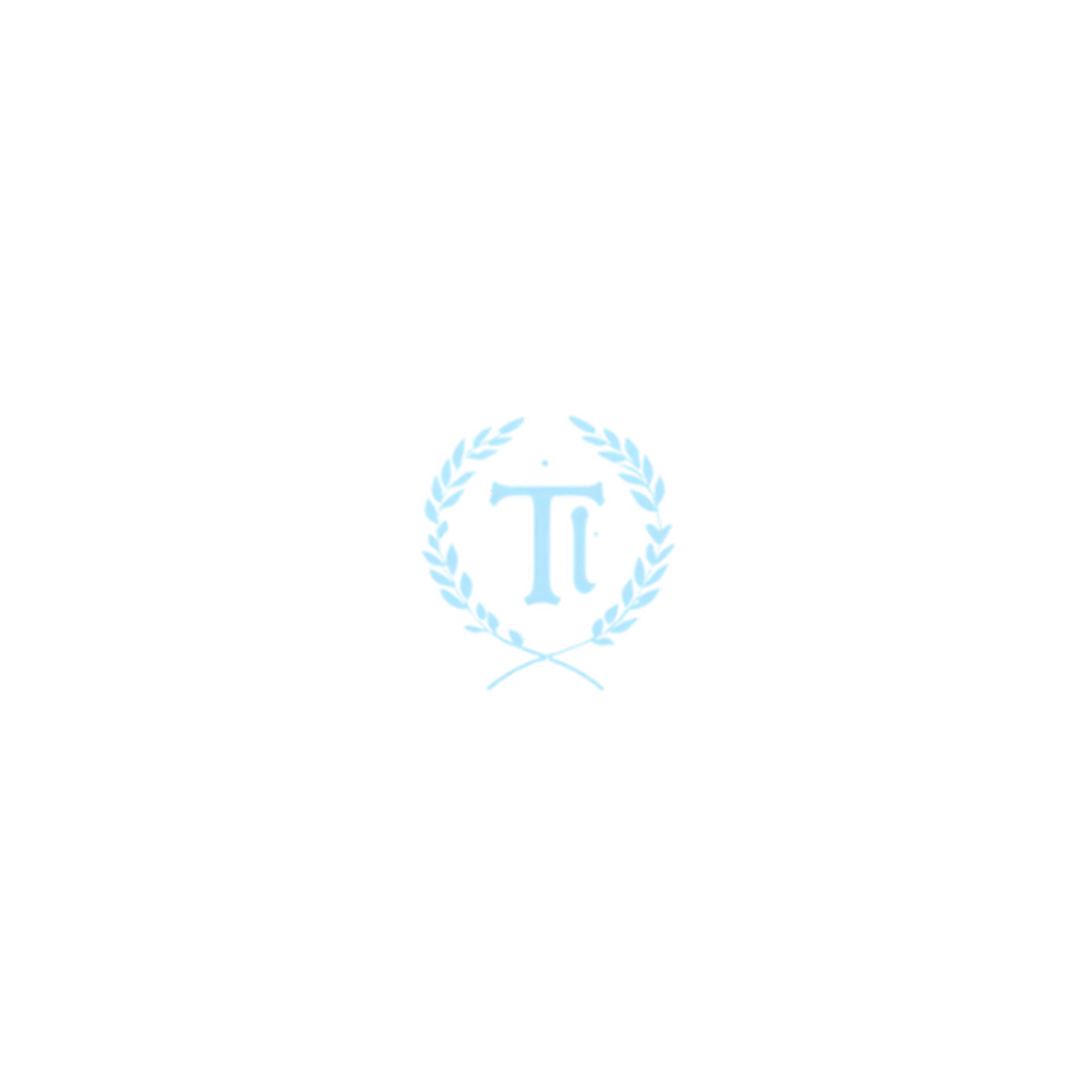 TANDI Social Media Agentur Hannover Logo