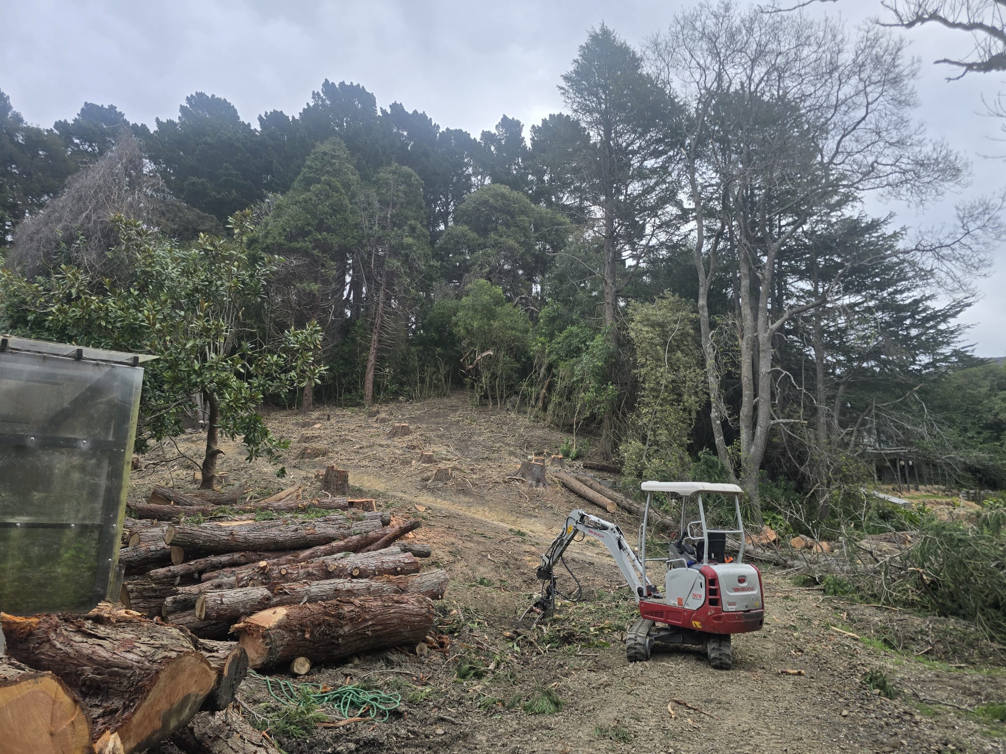 Commercial arborist Canterbury large scale
