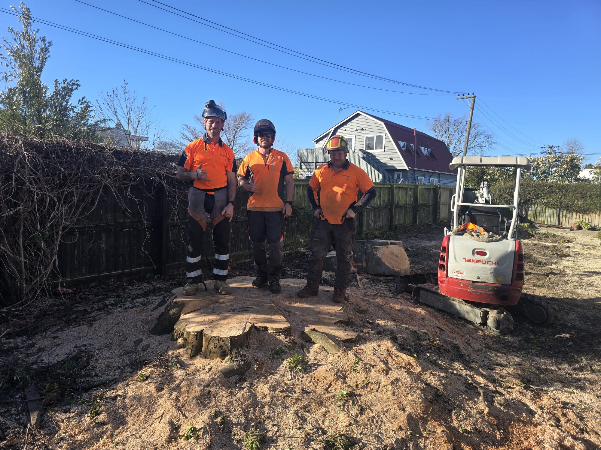 Holland's Tree Services team at work — Christchurch arborists