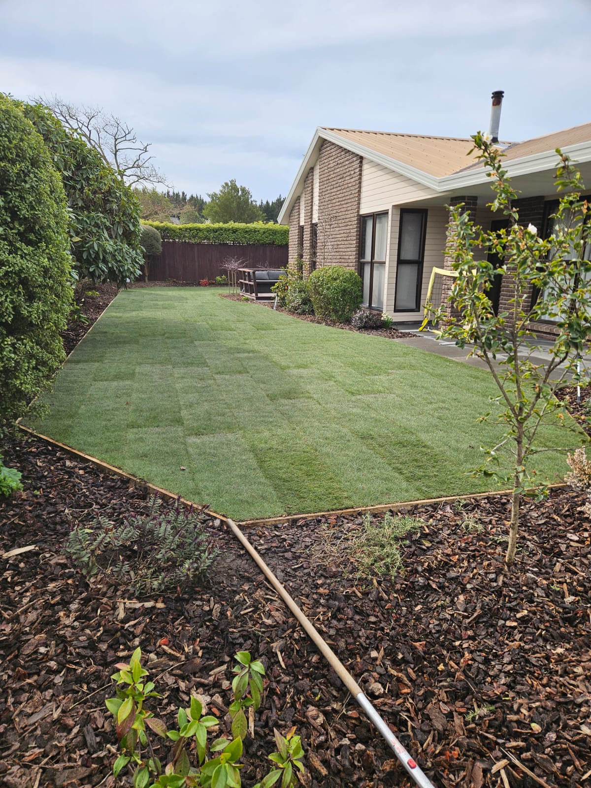 Ready lawn installed — Let's Grow Gardening