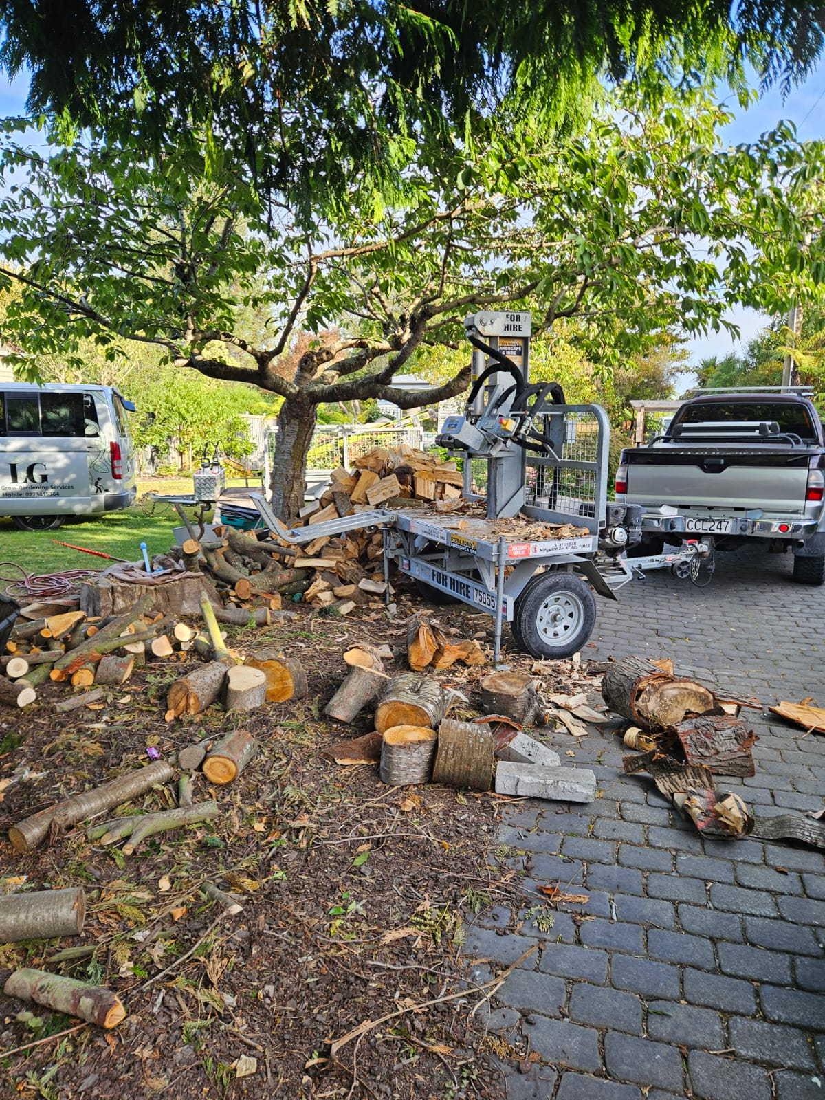 Tree pruning output — firewood and cut timber