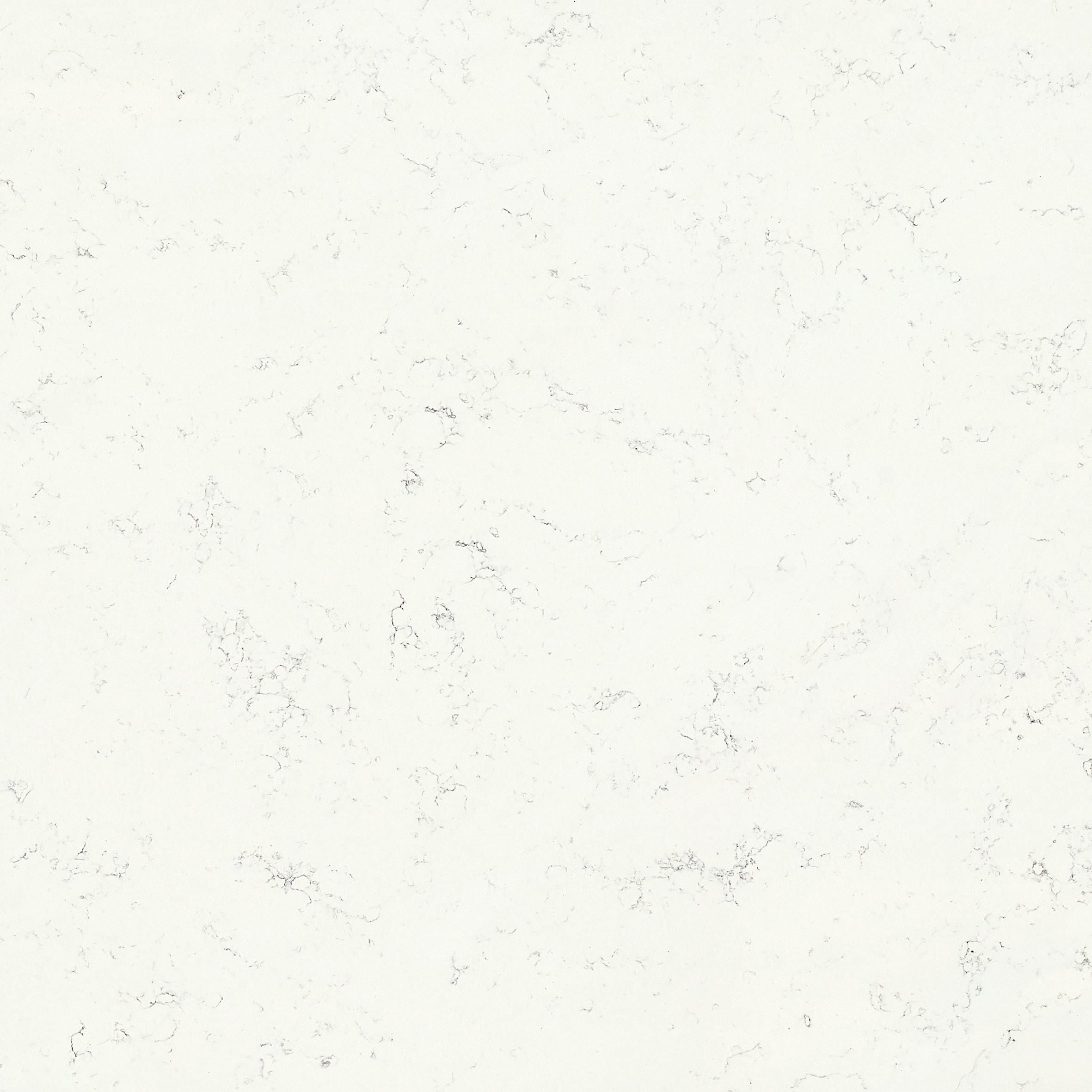 Crema Marmore granite benchtop Trendstone Auckland