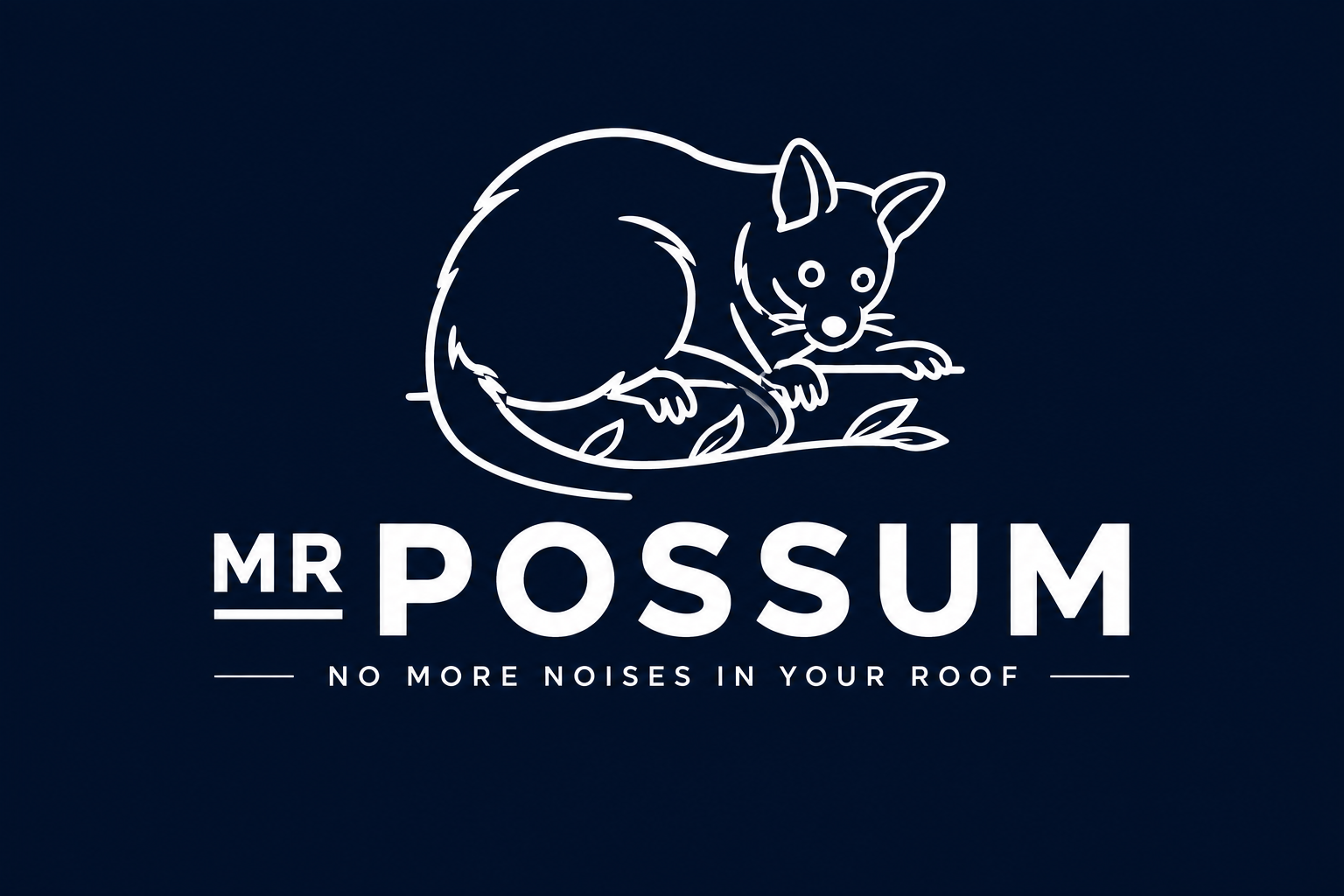 Mr Possum logo
