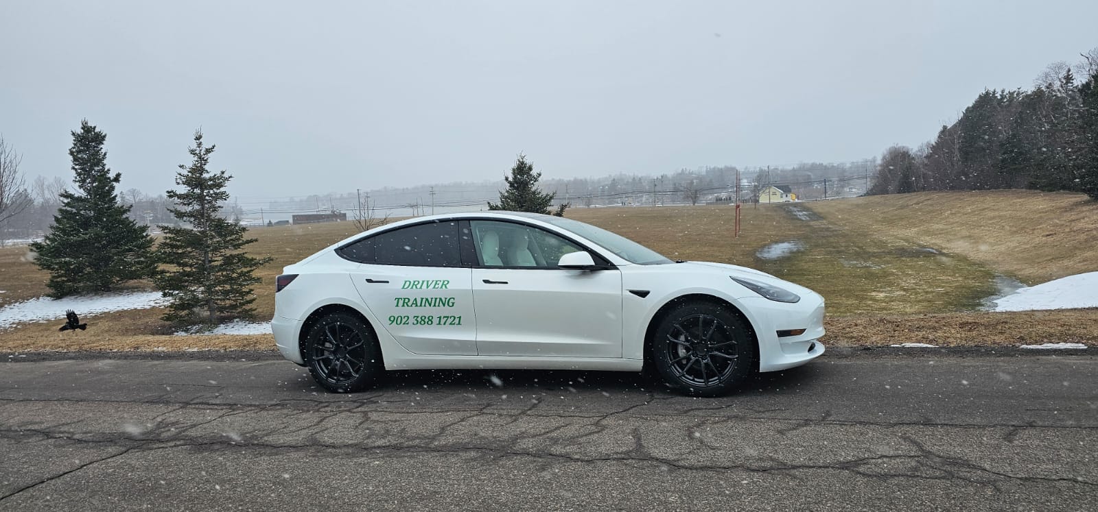 Tesla training vehicle outside Abey Driving School PEI
