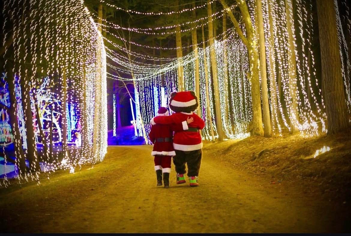 Magical Christmas lights at Miracle at Big Rock