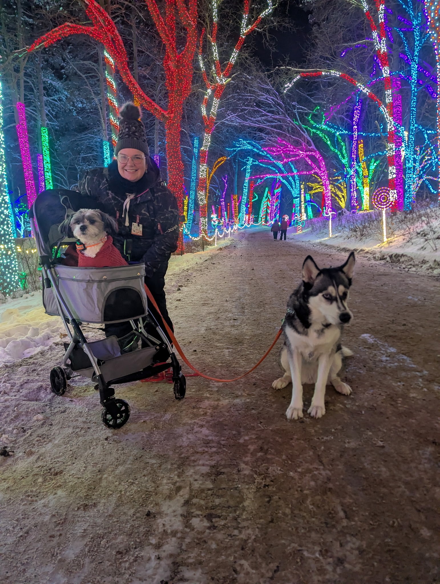 A dog among the holiday lights at Miracle at Big Rock