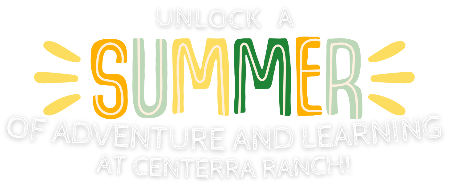 Summer Camp graphic