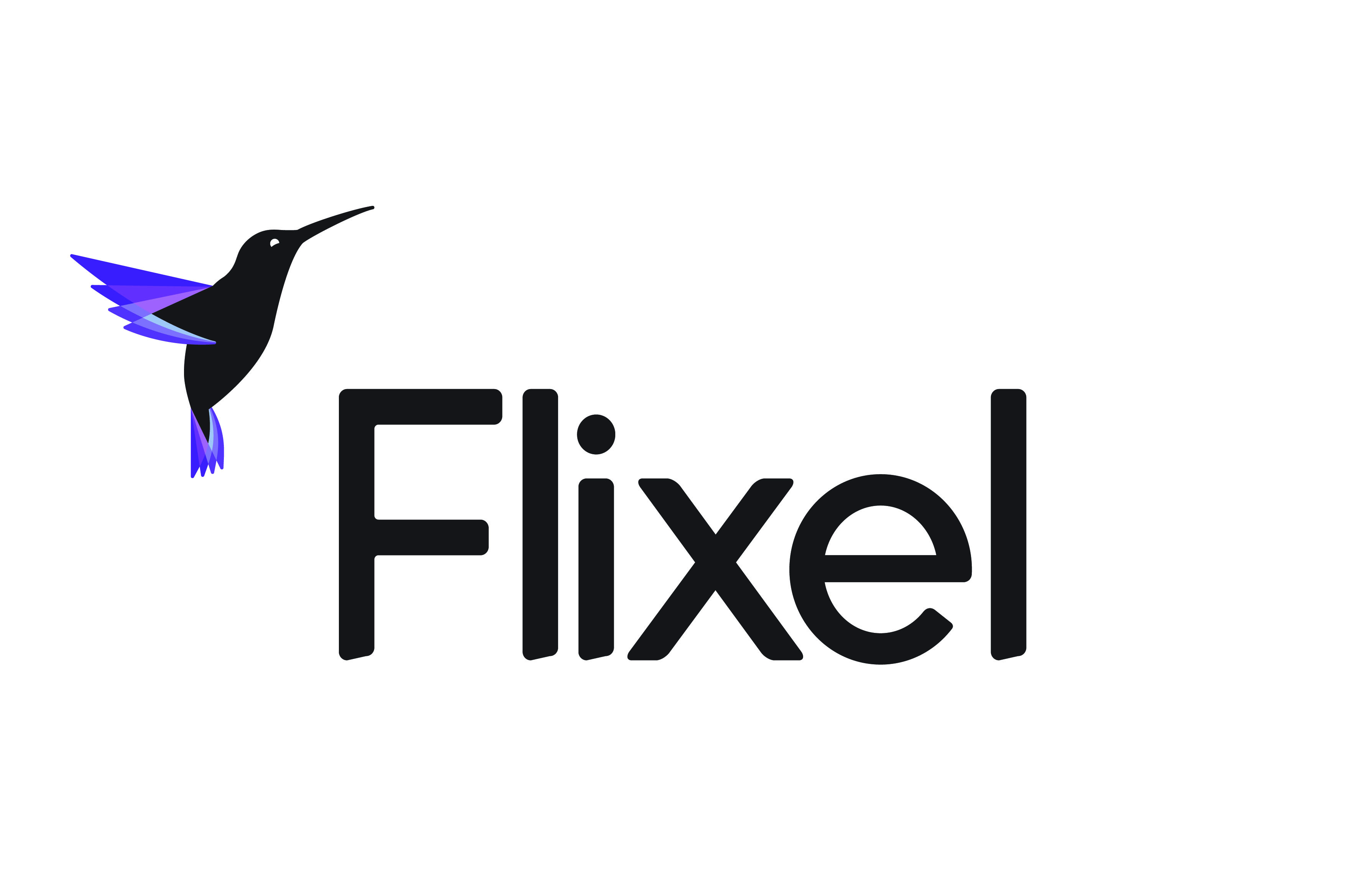 Flixel