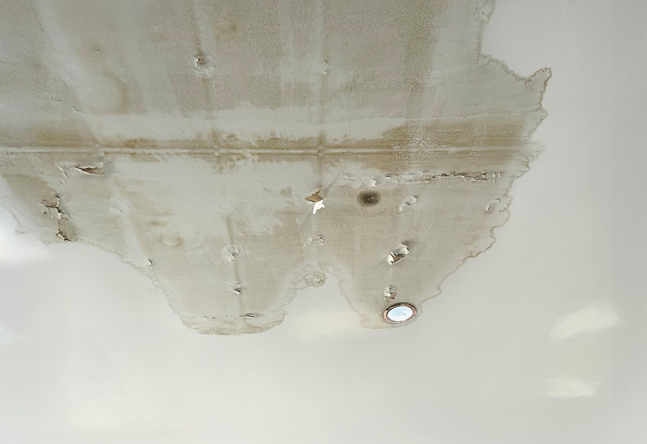 water damage ceiling from ice dam roof leak Alberta home