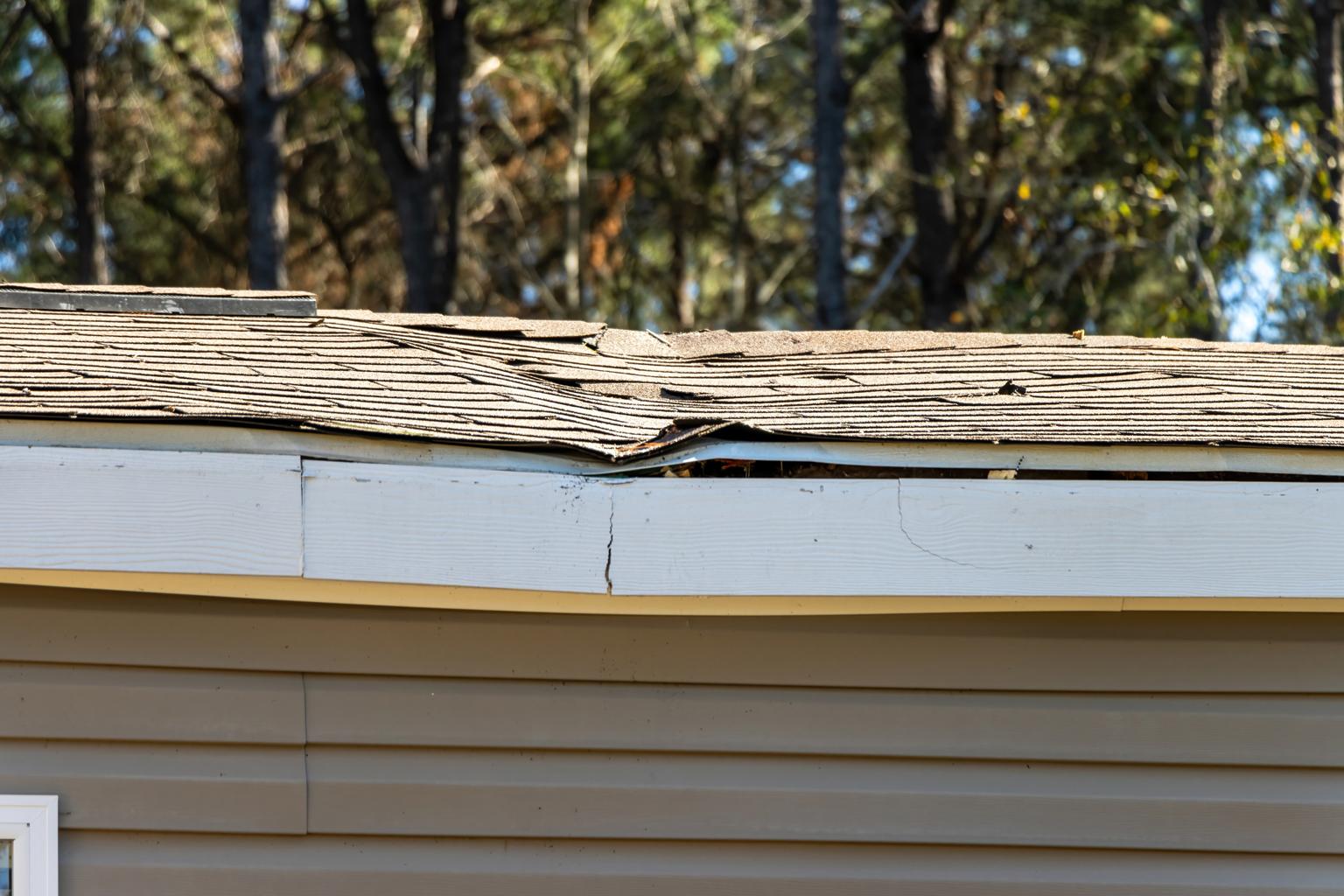 damaged roof shingles near eaves winter damage Alberta