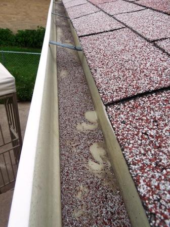 shingle granule loss visible in gutters Grande Prairie