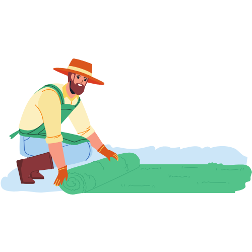landscaping in Miami