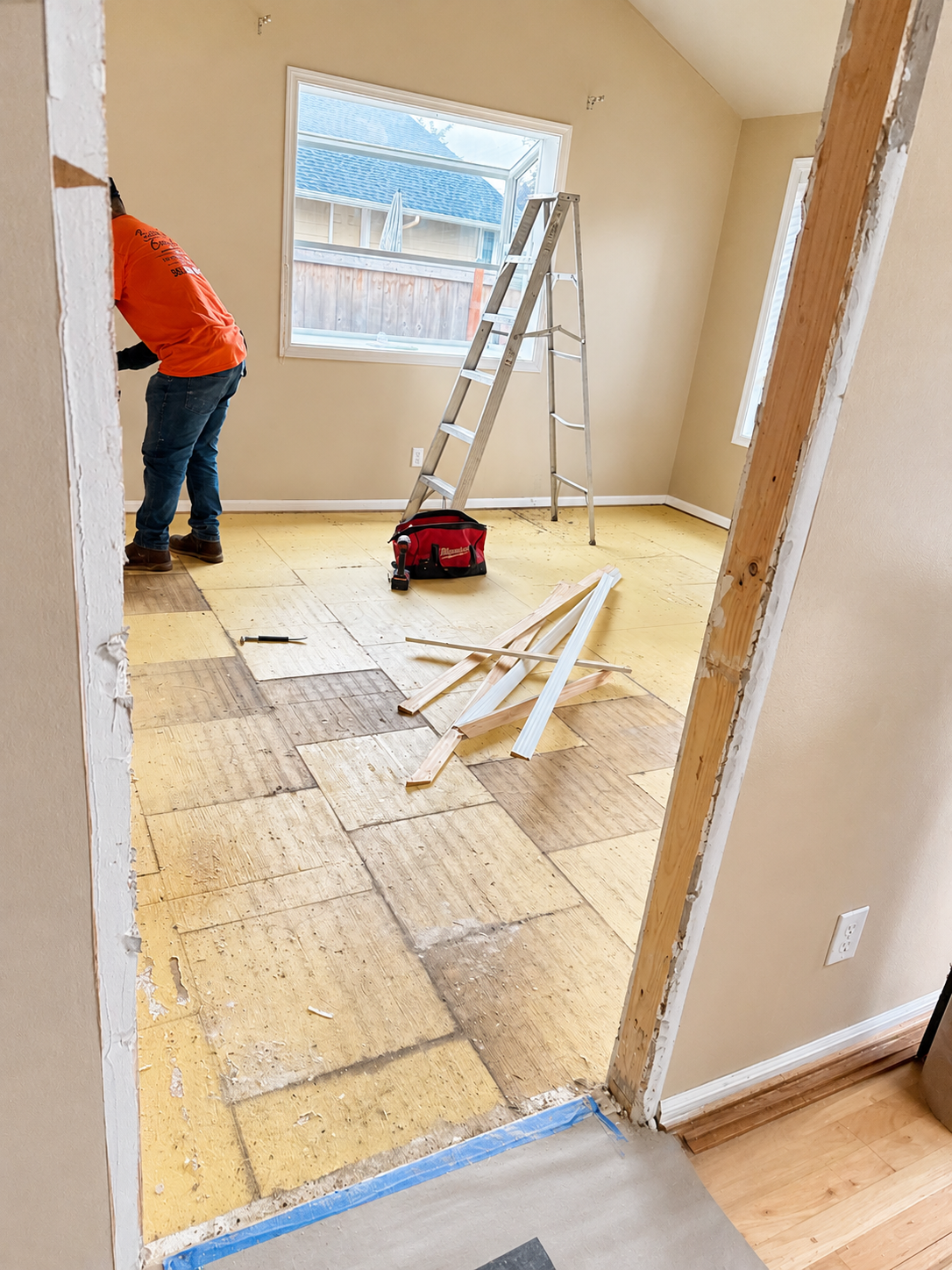Interior Demolition