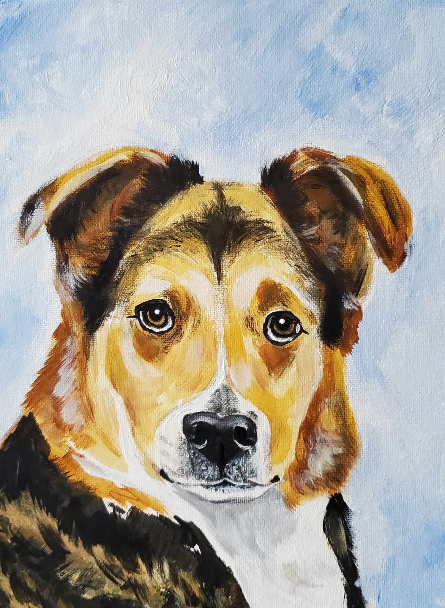 Pet Portrait
