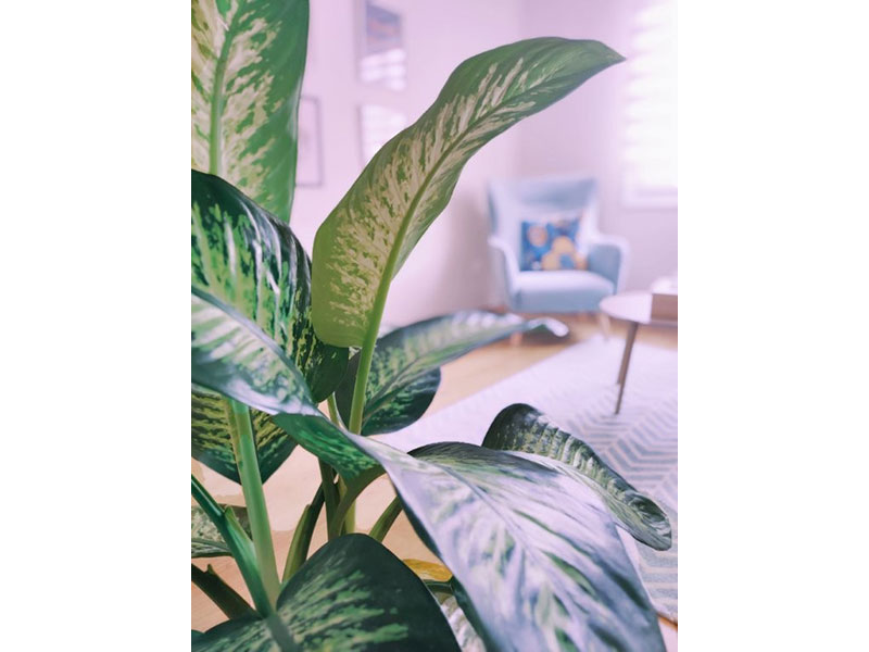 Therapy Office Space 5