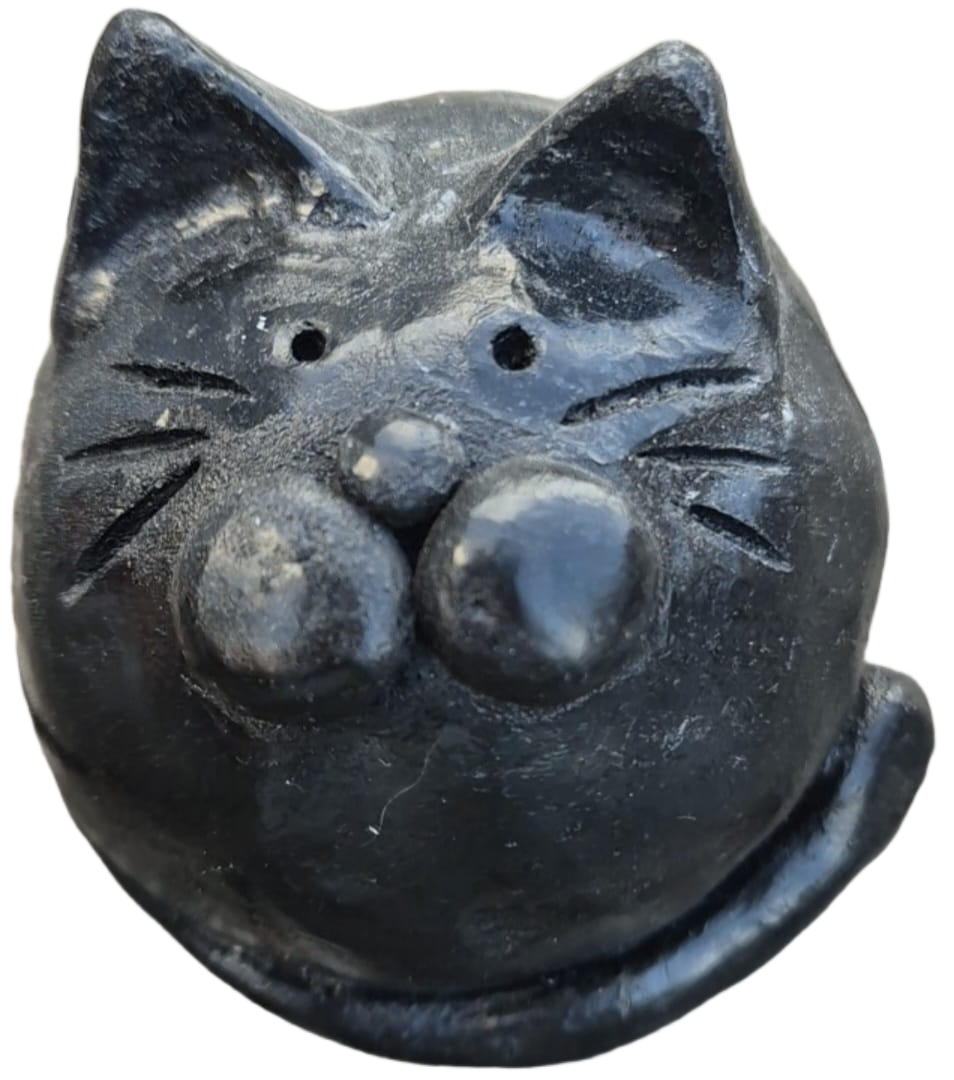 kot w raku