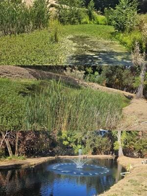 {{ custom_values.service_1 }} in {{custom_values.area_1})