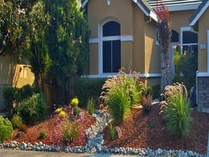 {{ custom_values.service_3 }} in {{custom_values.area_2})