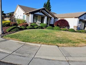 {{ custom_values.service_3 }} in {{custom_values.area_3})