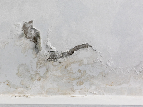  Leak Detection & Repairs