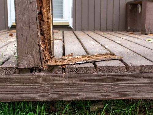 Timber Repairs & Replacement