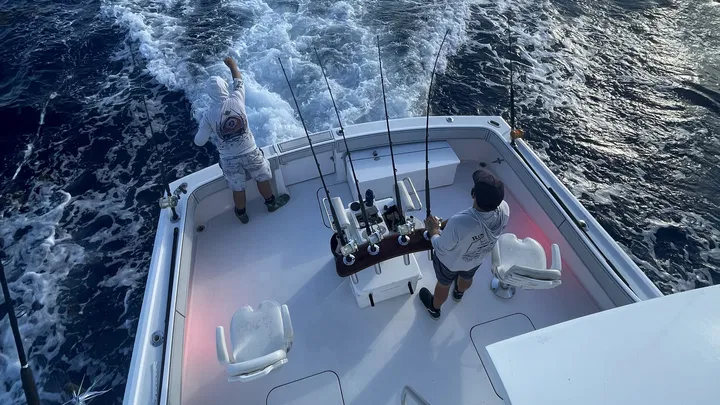 Full-day charter—RingMaster running deep blue water for wahoo, tuna, mahi and sails