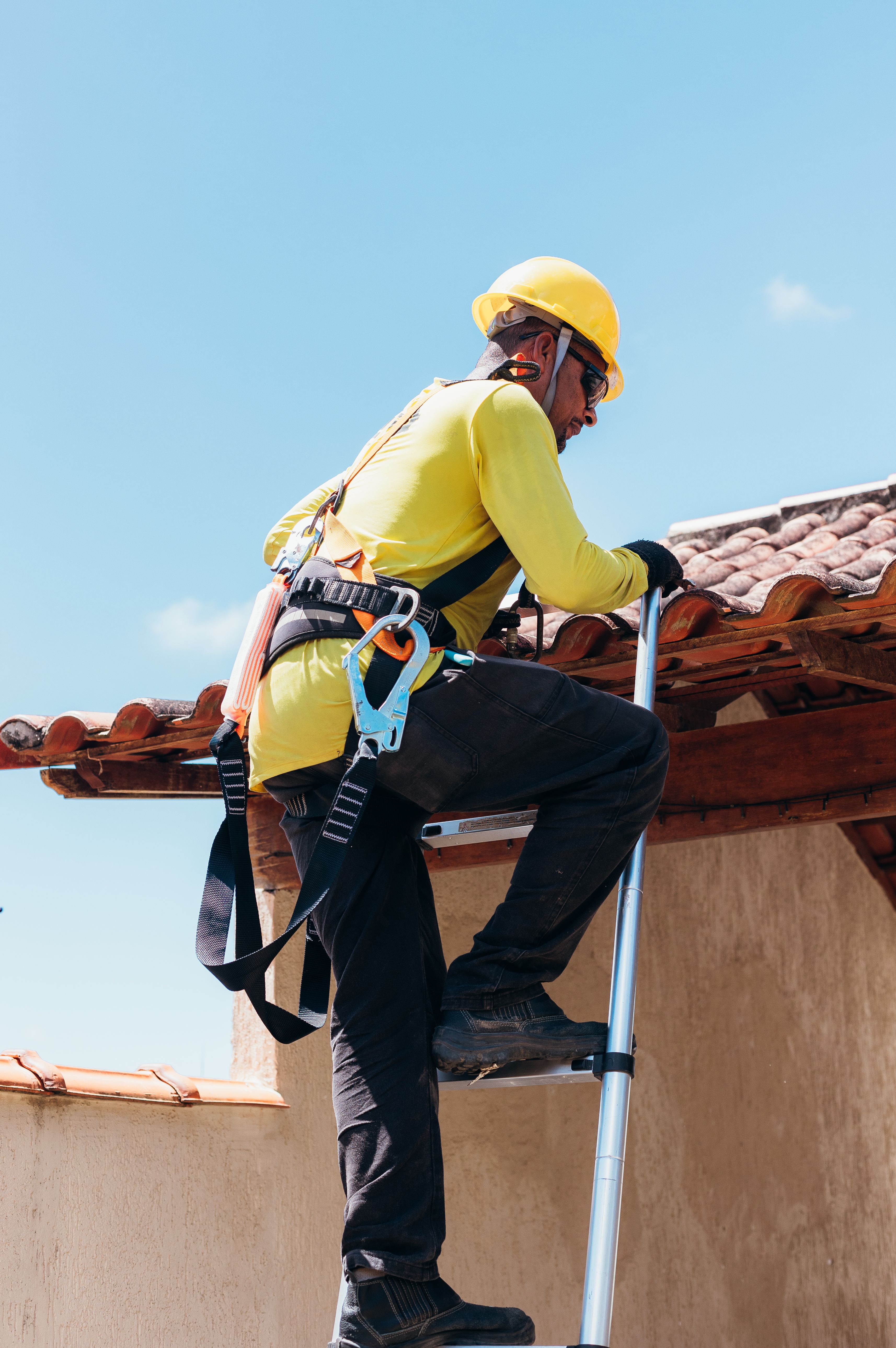 Ladder and Safety Harness