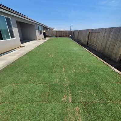 Sprinkler installation in Kern county