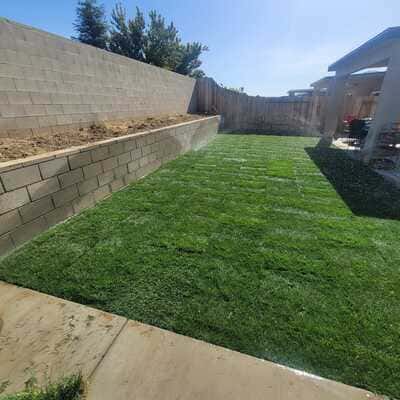 Synthetic Turf in Bakersfield