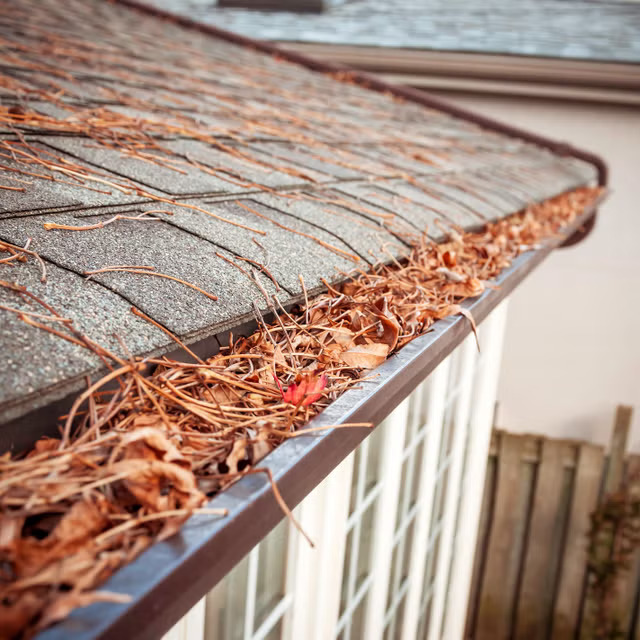 Gutter cleaning service